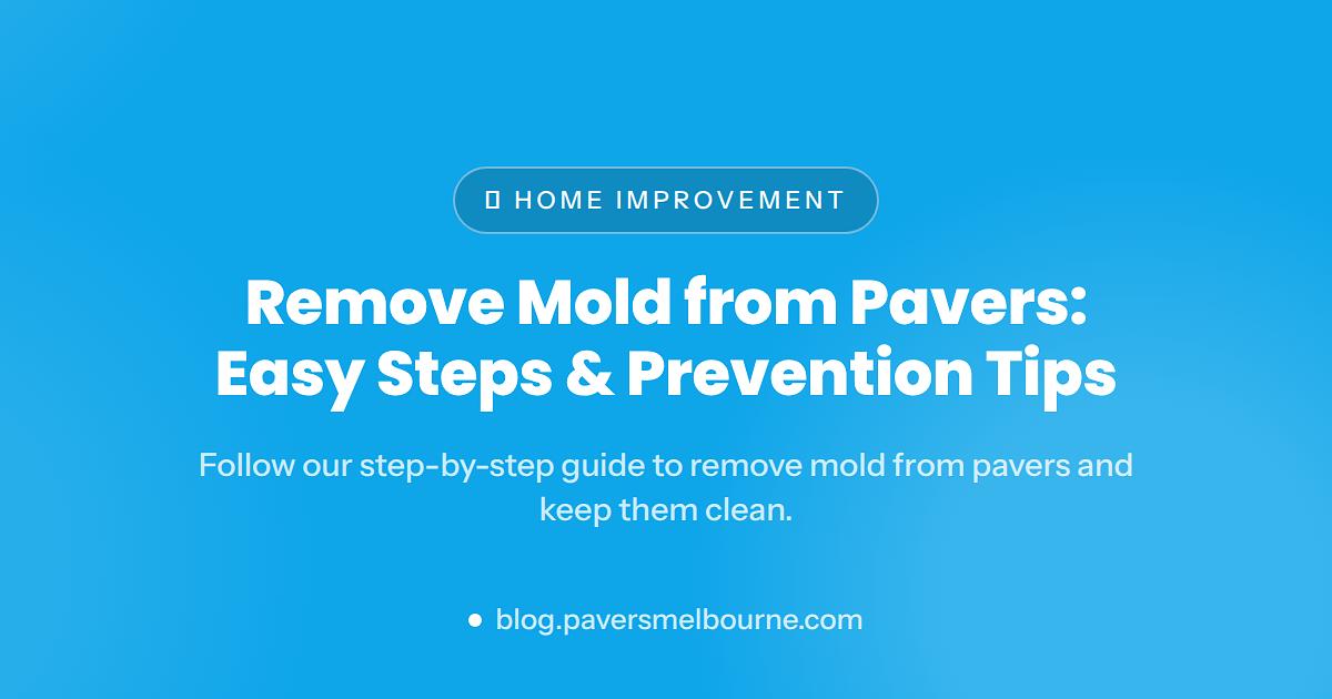 Mold on Pavers: How to Remove It and Stop It Returning